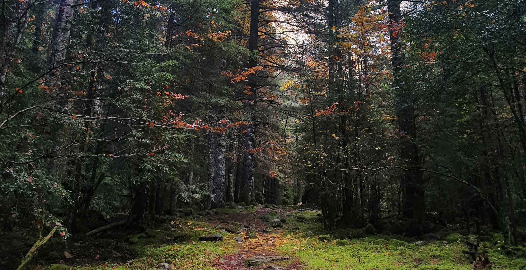 Detrás del Etiquetado ‘Sin Parabenos’: La Verdad Sobre los Cosméticos Que Elegimos